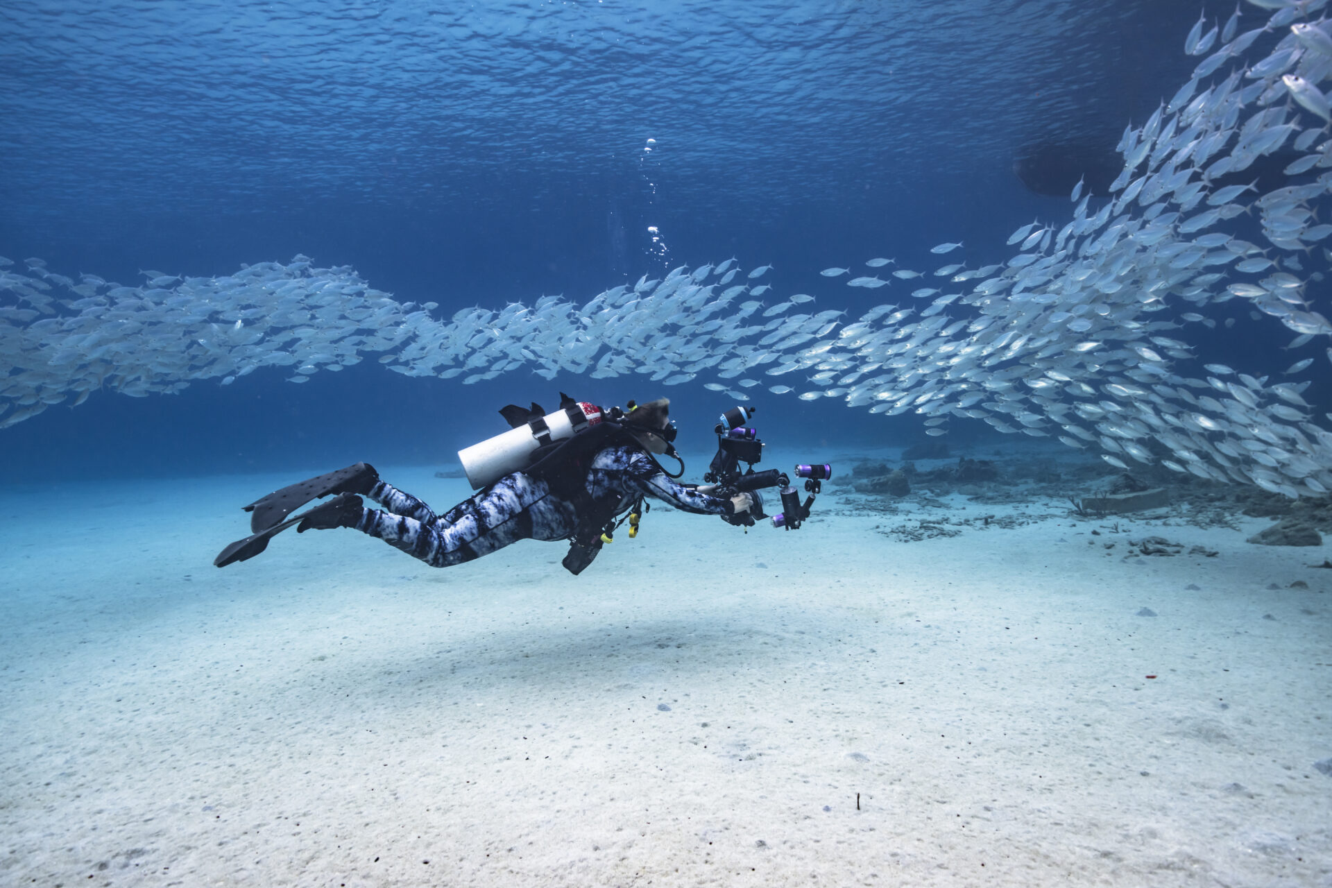 buceo islas Cíes Vigo