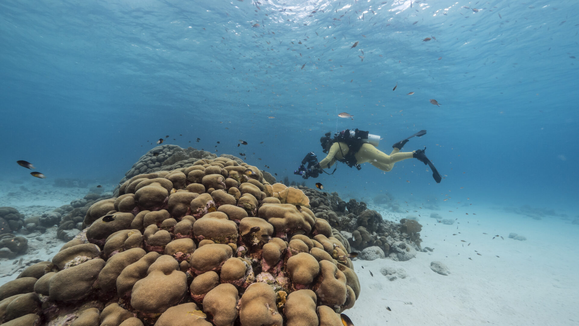 Hacer curso buceo Galicia